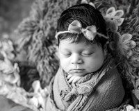 DSC_1933-Edit