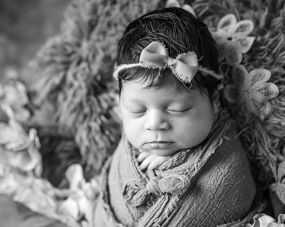 DSC_1933-Edit