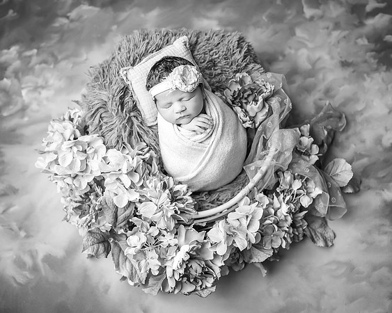 ZII_3373-Edit