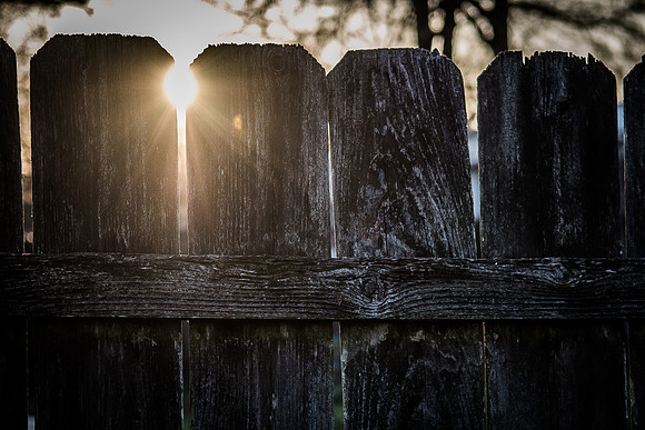 fence and sun