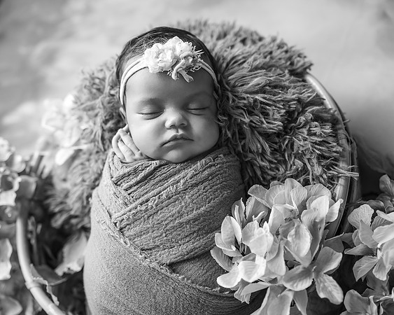Z72_5376-Edit
