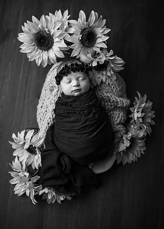 Z72_3082-Edit