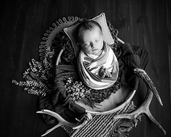 ZII_8286-Edit