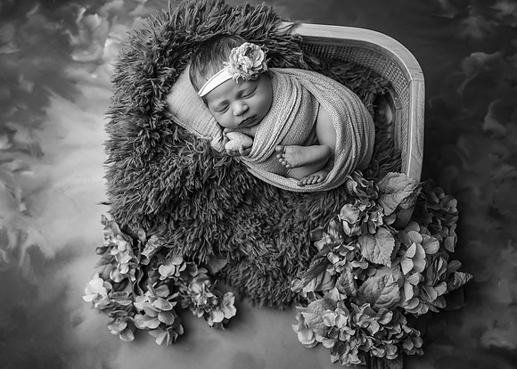Z72_3108-Edit