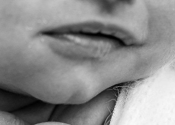 ZII_8215