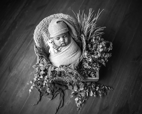 Z72_6802-Edit