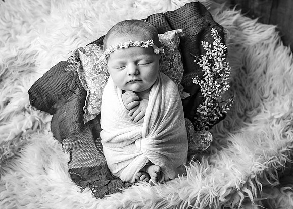 ZII_3540-Edit