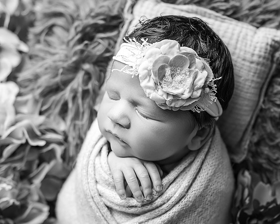 ZII_3379-Edit