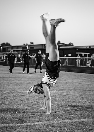 DSC_5313