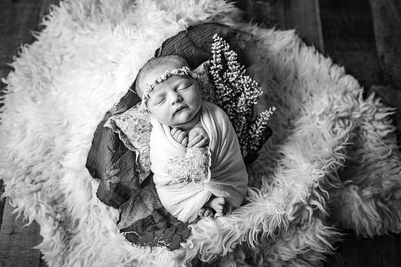 ZII_3536-Edit