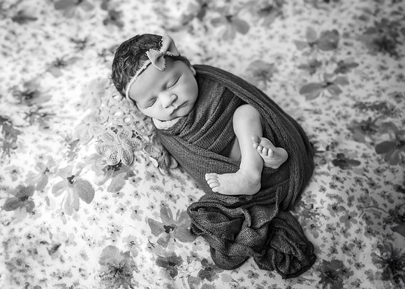 ZII_3499-Edit