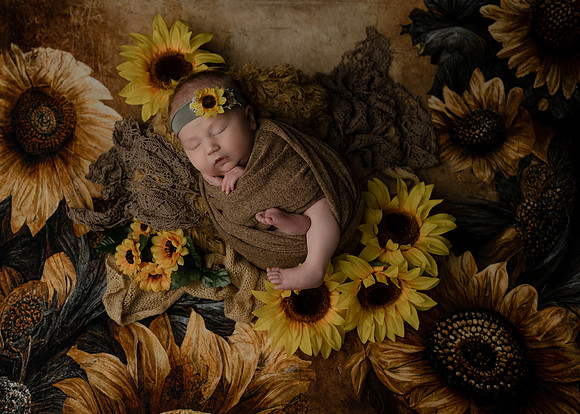Z72_5295-Edit