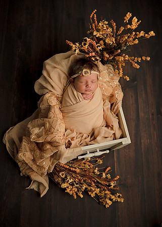 Z62_9681-Edit