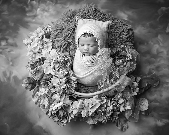 ZII_3393-Edit
