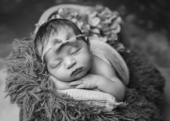 Z72_3123-Edit