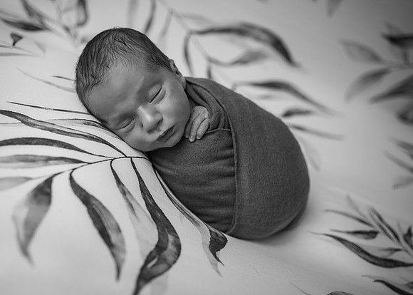 Z72_9022-Edit