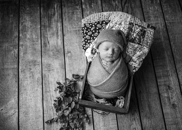Z72_4803-Edit