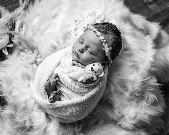 ZII_4056-Edit