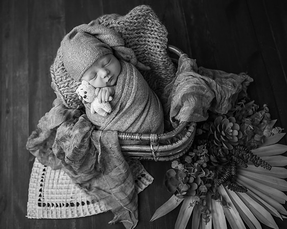 _DSC4283-Edit