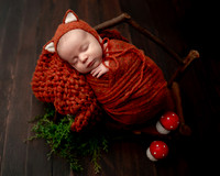 _DSC4820-Edit