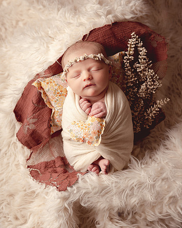 ZII_3534-Edit