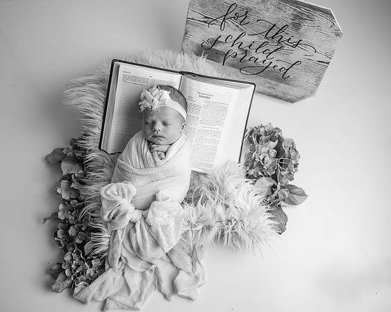 Z72_7278-Edit