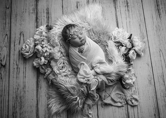 Z72_3148-Edit