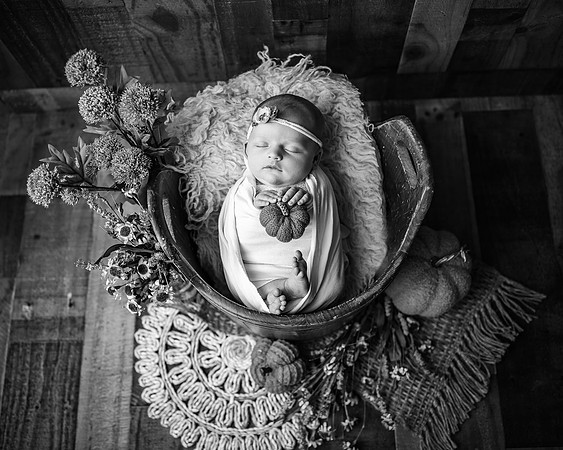 ZII_3292-Edit