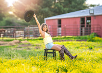 Z62_4193-Edit