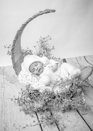 ZII_0738