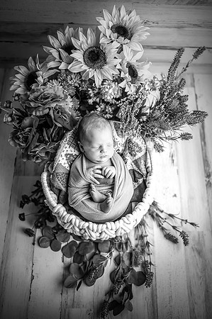 ZII_7262-Edit