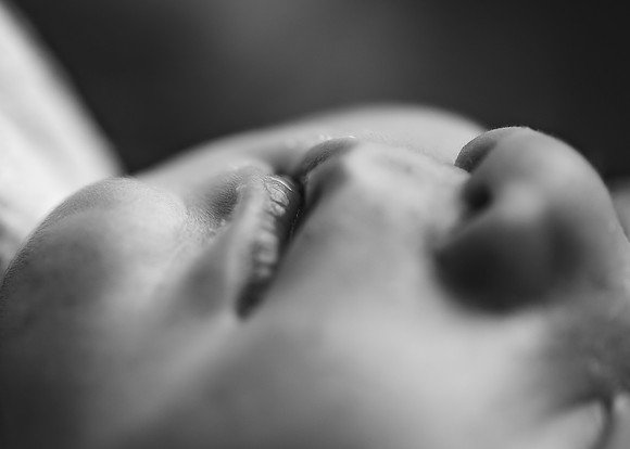_ZII0412