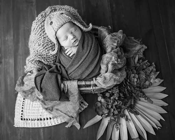 _DSC4293-Edit