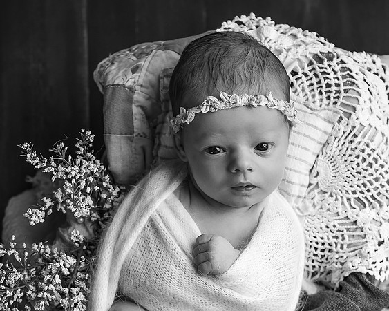 Z72_7235-Edit