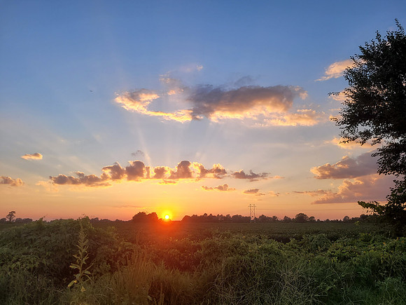 sun