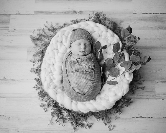 ZII_0205-Edit