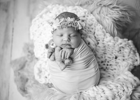 ZII_1214-Edit