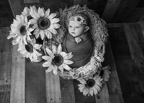 ZII_9463-Edit