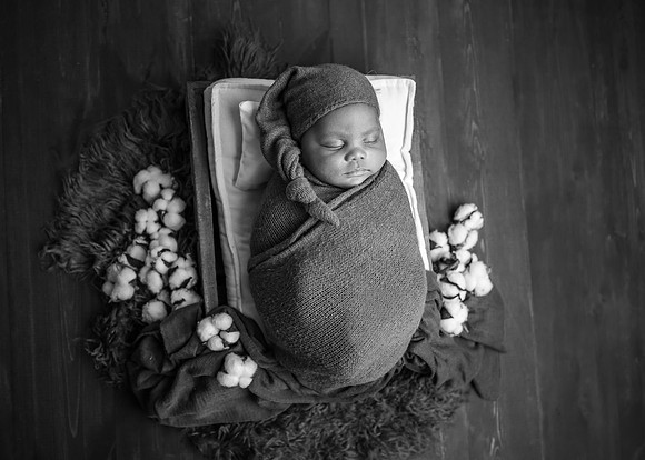 ZII_1429-Edit