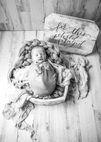 ZII_9211-Edit