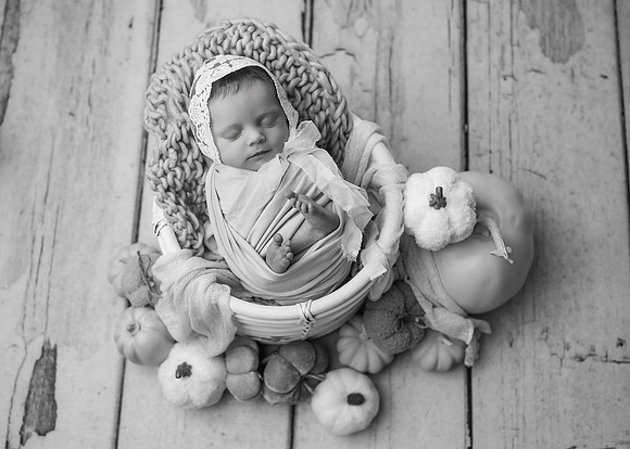 ZII_6282-Edit
