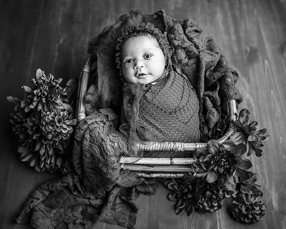 _ZII4280-Edit
