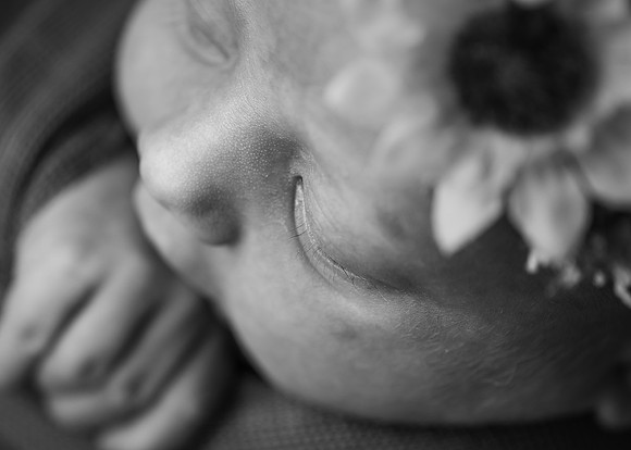 ZII_9480