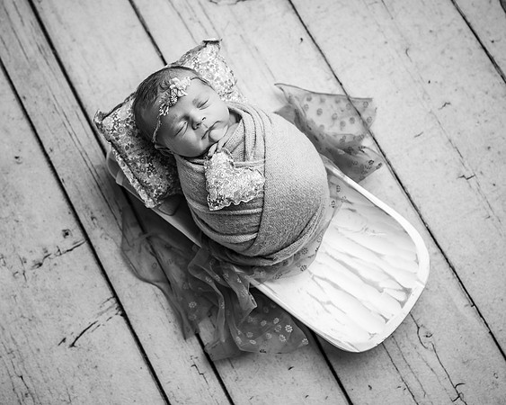 _ZII5201-Edit