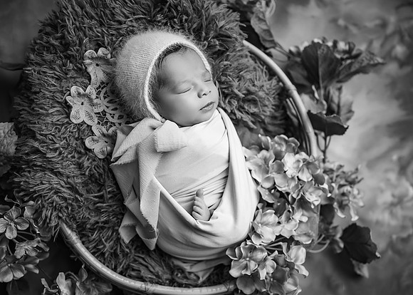 ZII_0539-Edit
