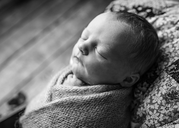 Z72_4795-Edit