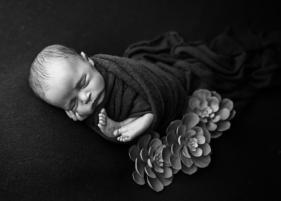 ZII_5218-Edit