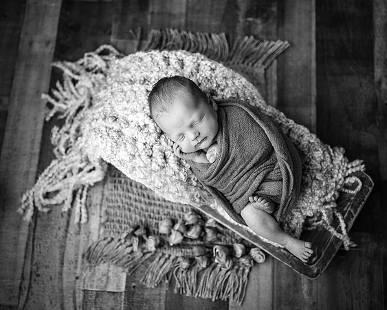 ZII_7393-Edit