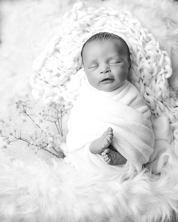 ZII_5178-Edit