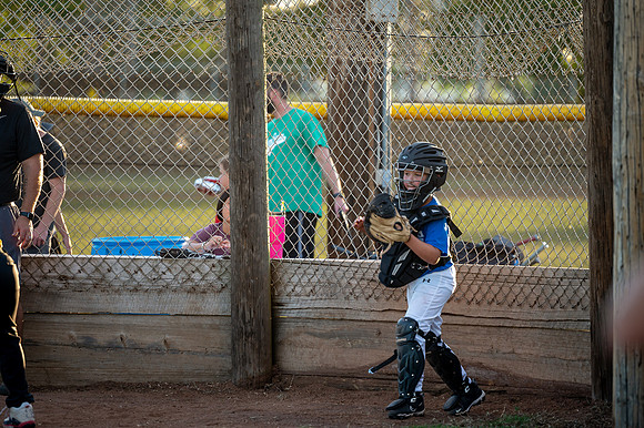 DSC_5331